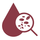 Aumento y disminución de las plaquetas